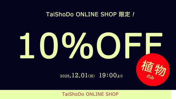 オンラインショップ限定10％OFF！