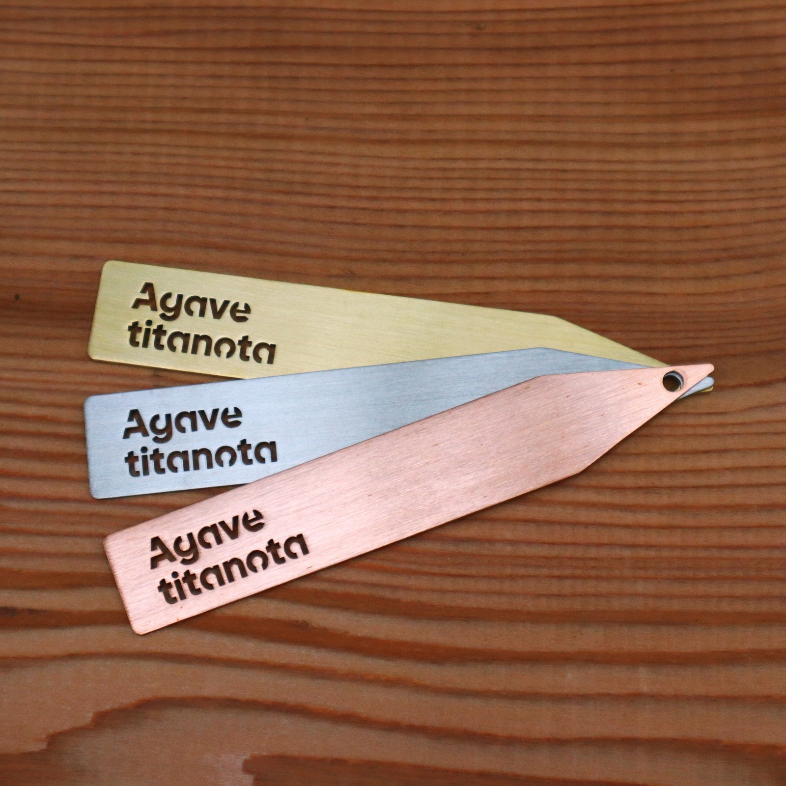 プランツタグ – TaiShoDo ONLINE SHOP