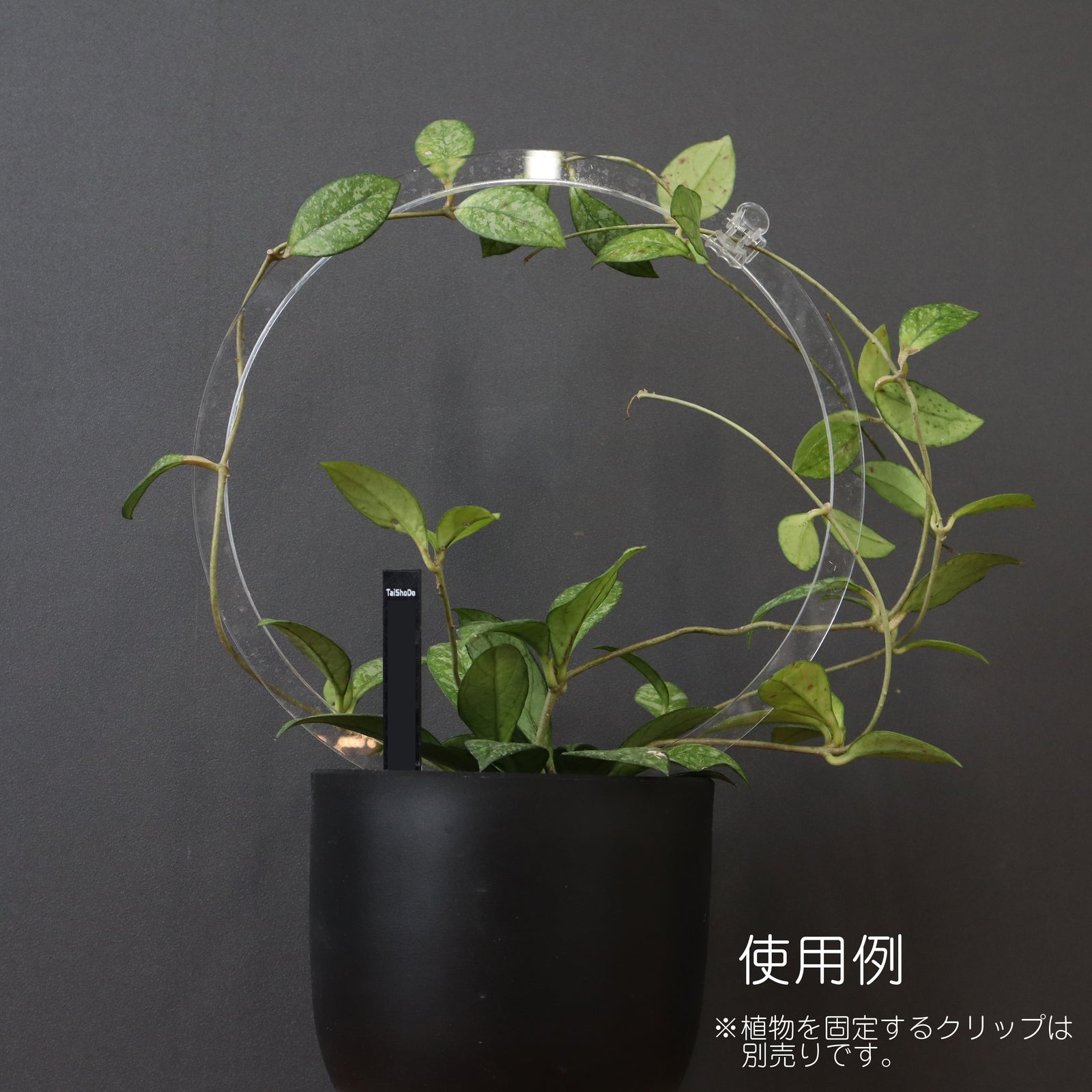 PLANTS ON WHITE】 Leafyアクリルラウンドトレリス – TaiShoDo ONLINE SHOP