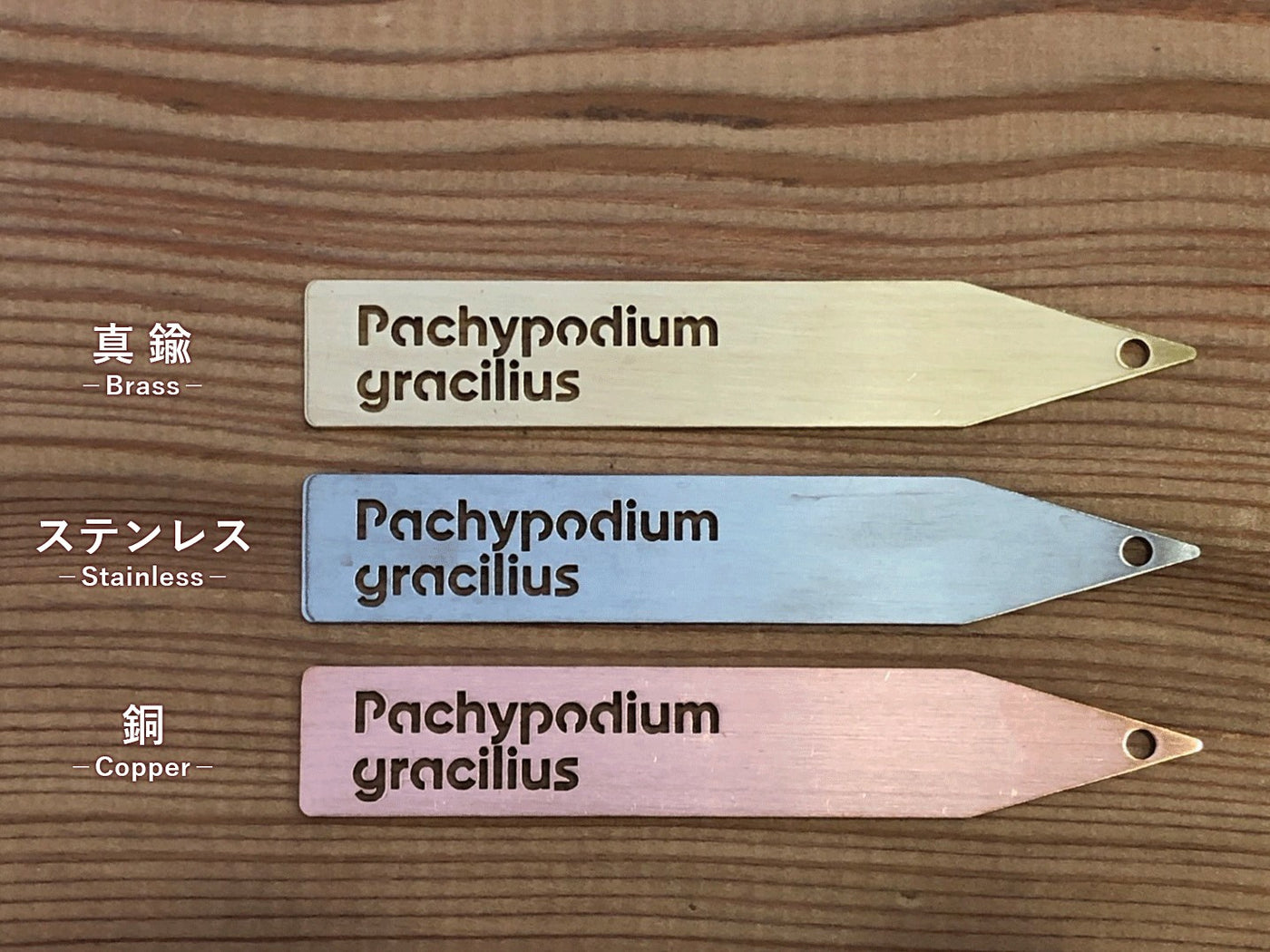 プランツタグ – TaiShoDo ONLINE SHOP