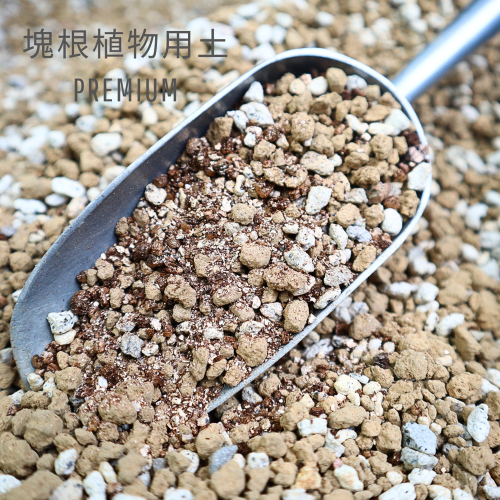 こちらの商品はいかがですか – 2ページ目 – TaiShoDo ONLINE SHOP