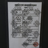 エンセファラルトス ホリダス 40