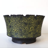 【雷土陶器鉢】クラシック釉薬ブラックカラー鉢 M　2