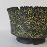 【雷土陶器鉢】クラシック釉薬ブラックカラー鉢 M　2