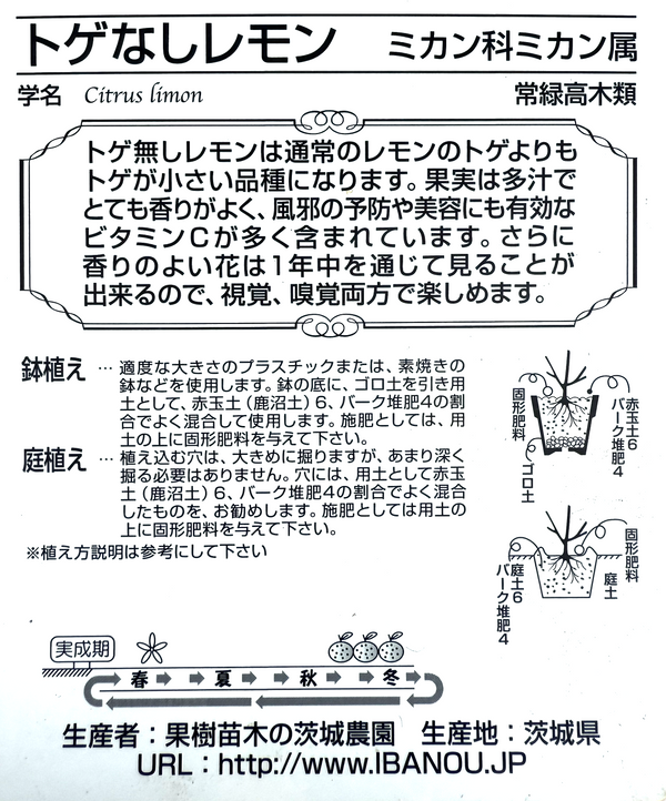 柑橘 ’トゲなしレモン’