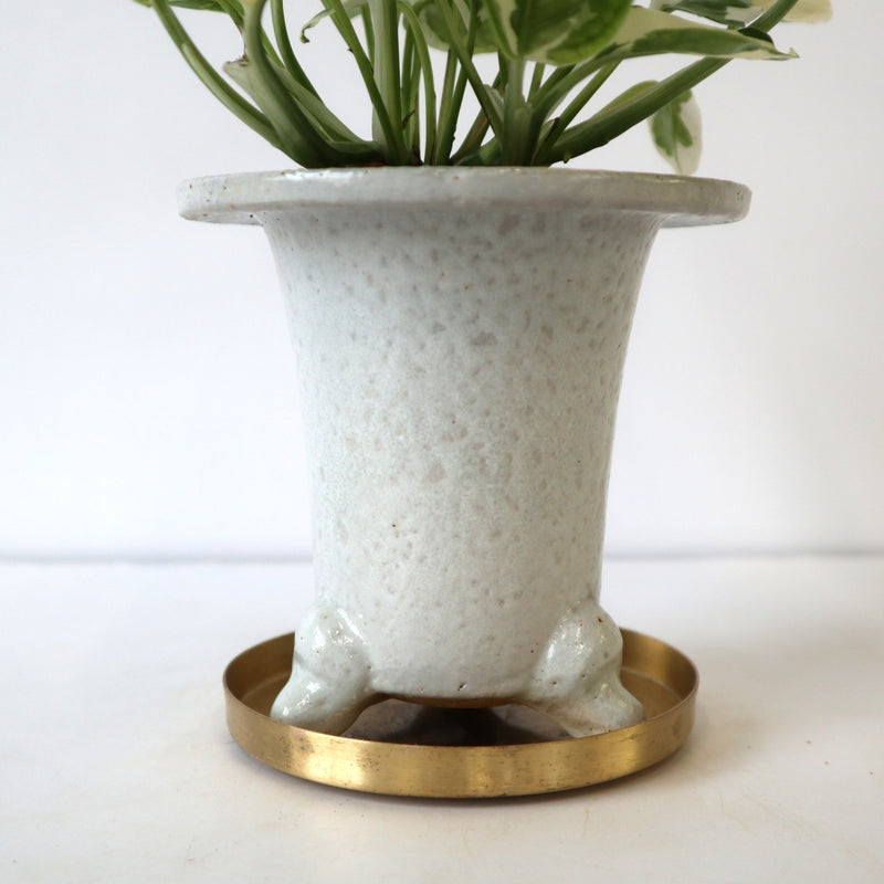 ポトス – TaiShoDo ONLINE SHOP