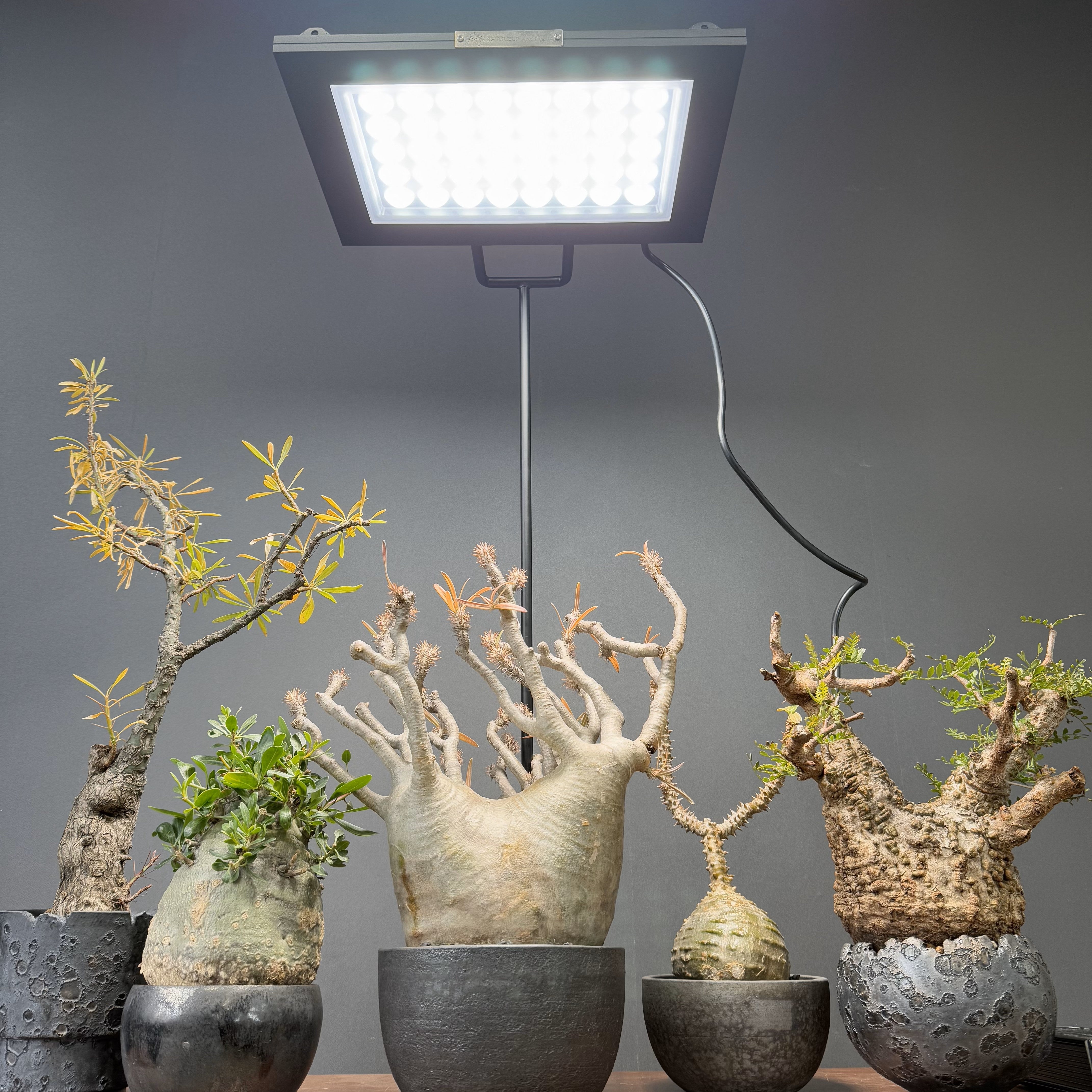 BARREL ROKI-350 パネルライト　専用スタンドセット 植物育成ライト専門店BARREL｜【ROKI-350 STAND】「ROKI-350