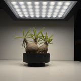 【BARREL】ROKI パネルライト（ROKI‐350 100W）超高演色 植物育成用照明 BA-100W-FL