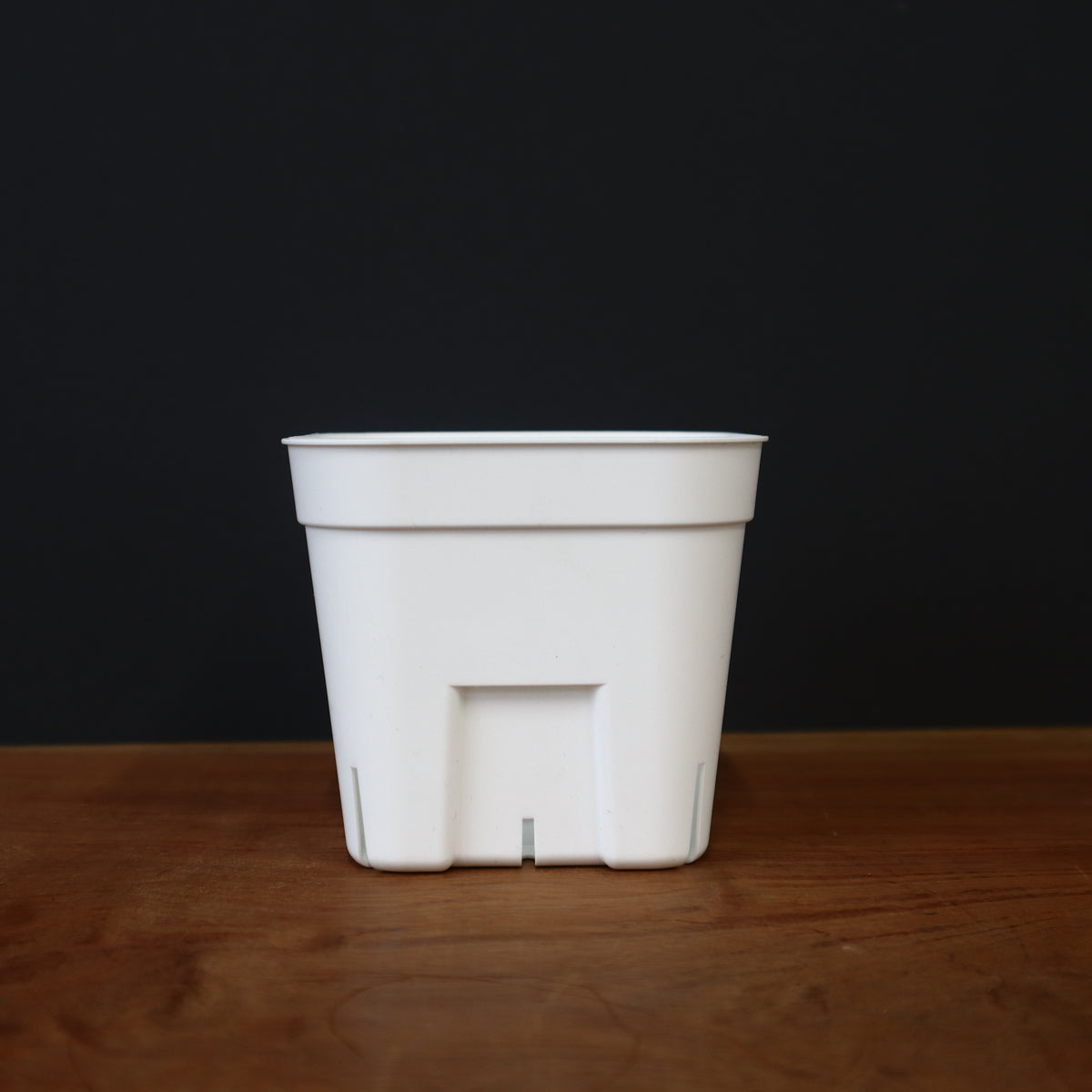 プラ鉢 – TaiShoDo ONLINE SHOP