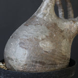 P.グラキリス 2200