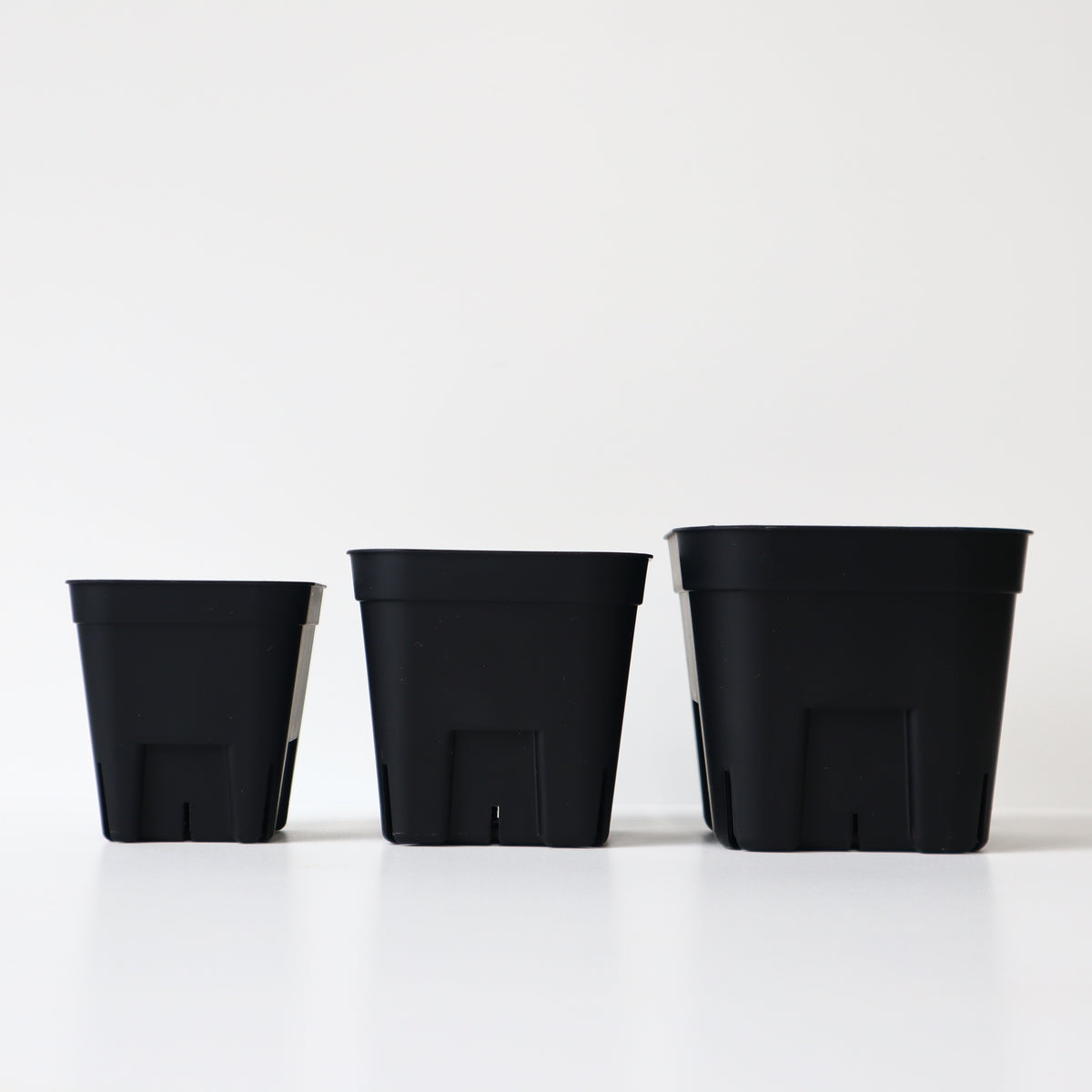 プラ鉢 – TaiShoDo ONLINE SHOP