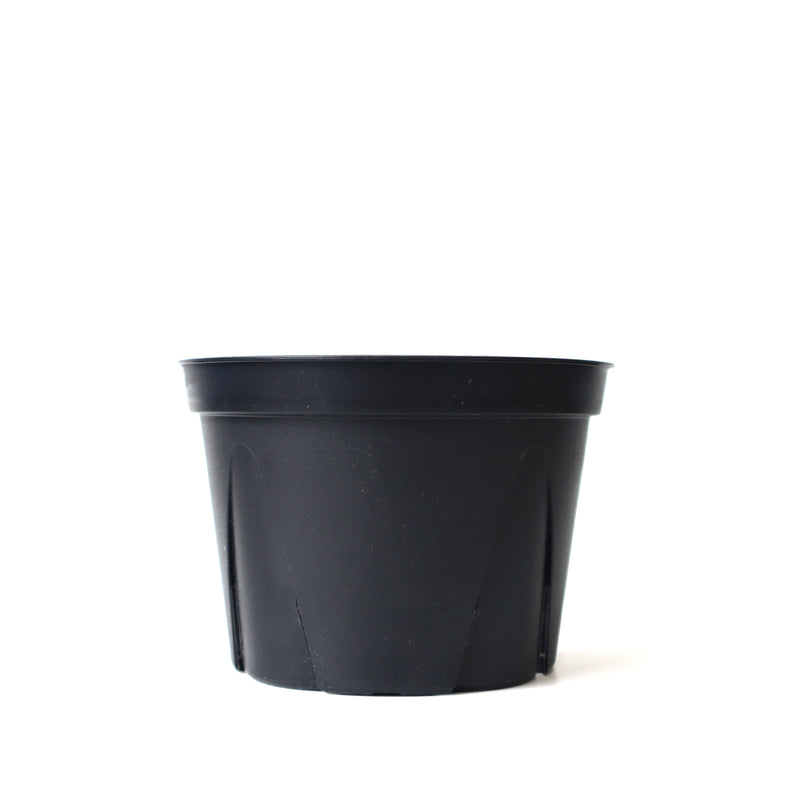 スリットポット WDシリーズ – TaiShoDo ONLINE SHOP