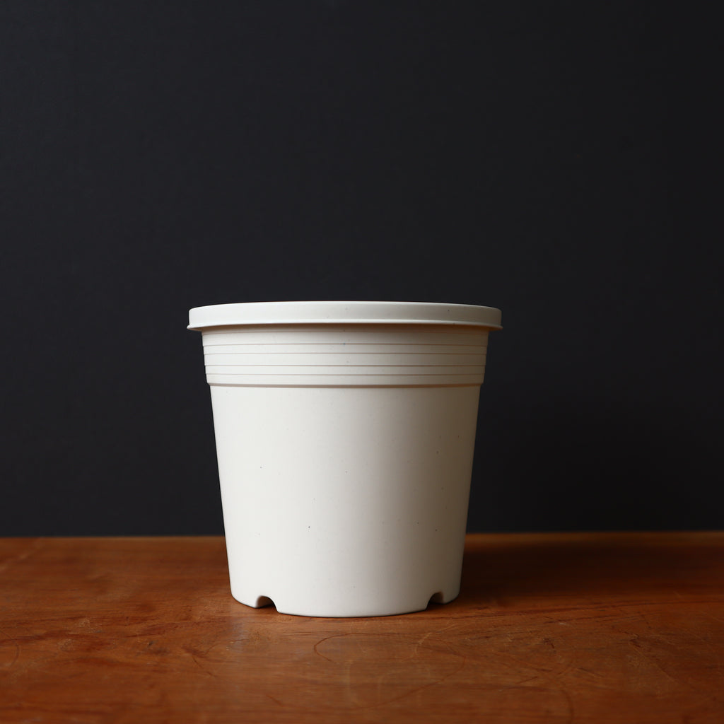 IMG_1885_7ccba586-a8fb-4868-