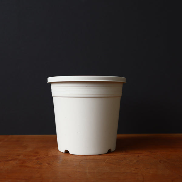 IMG_1885_7ccba586-a8fb-4868-