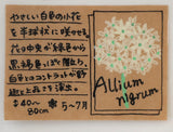 アリウム ニグルム