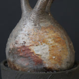 【sou.】P.グラキリス 2157