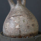 【sou.】P.グラキリス 2157