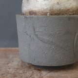 【sou.】P.グラキリス 2157