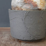 【sou.】P.グラキリス 2157