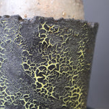 【雷土陶器鉢】P.グラキリス 1941