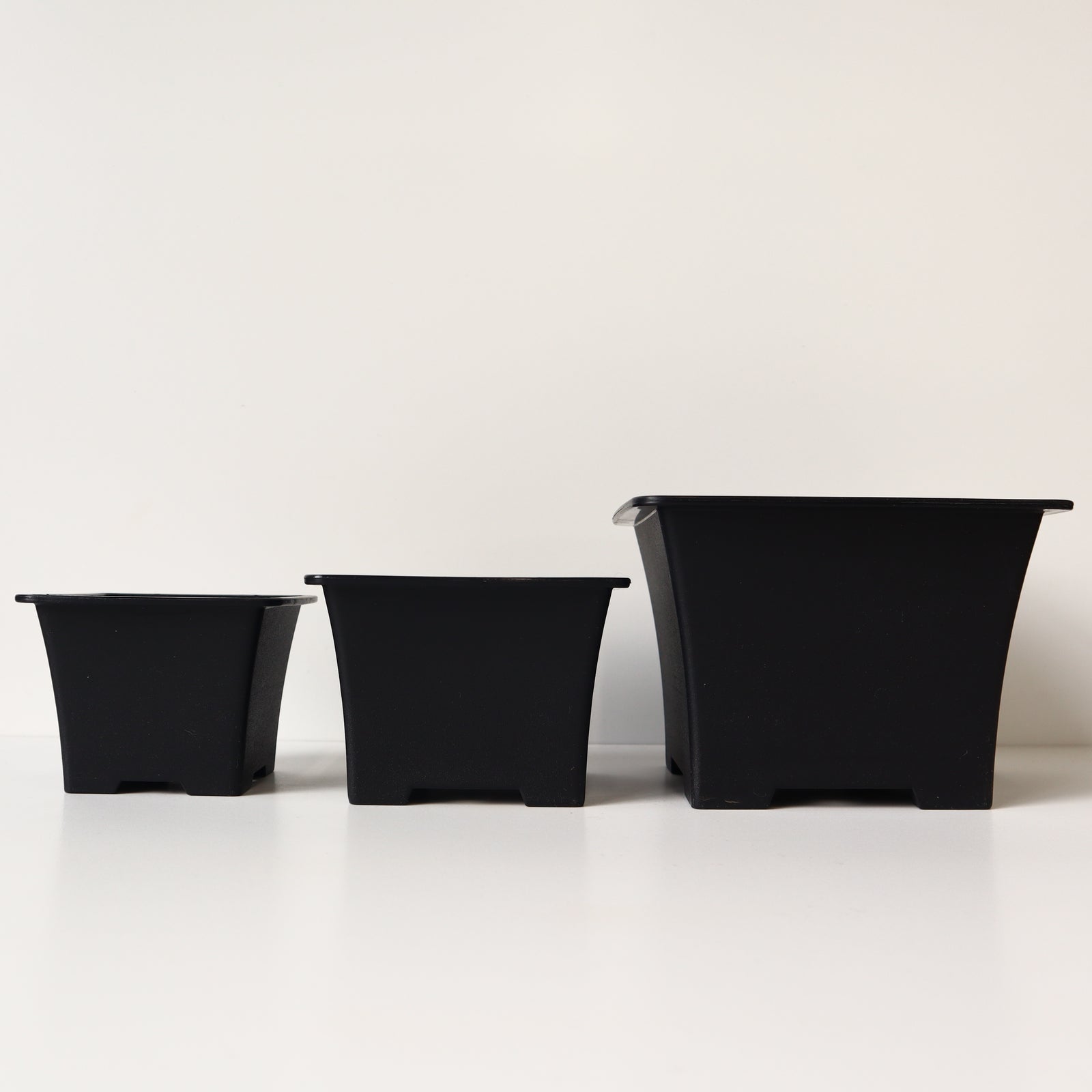 IMG_2542_e7c96fb9-5d03-472a-