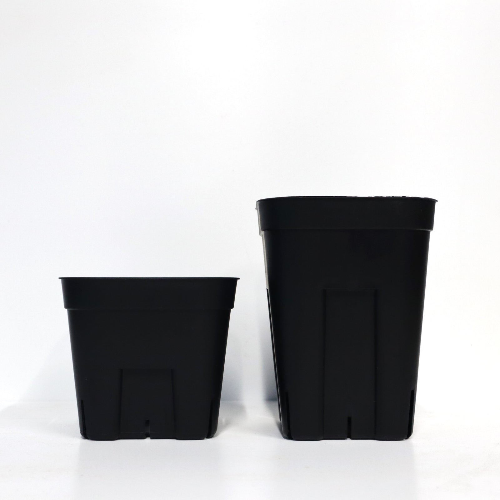 プレステラ 黒シリーズ – TaiShoDo ONLINE SHOP