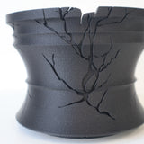 【plants greed】44