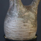 P.グラキリス 1826