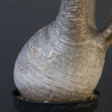 P.グラキリス 1868