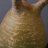 P.グラキリス 1553