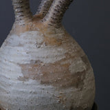 P.グラキリス 1011