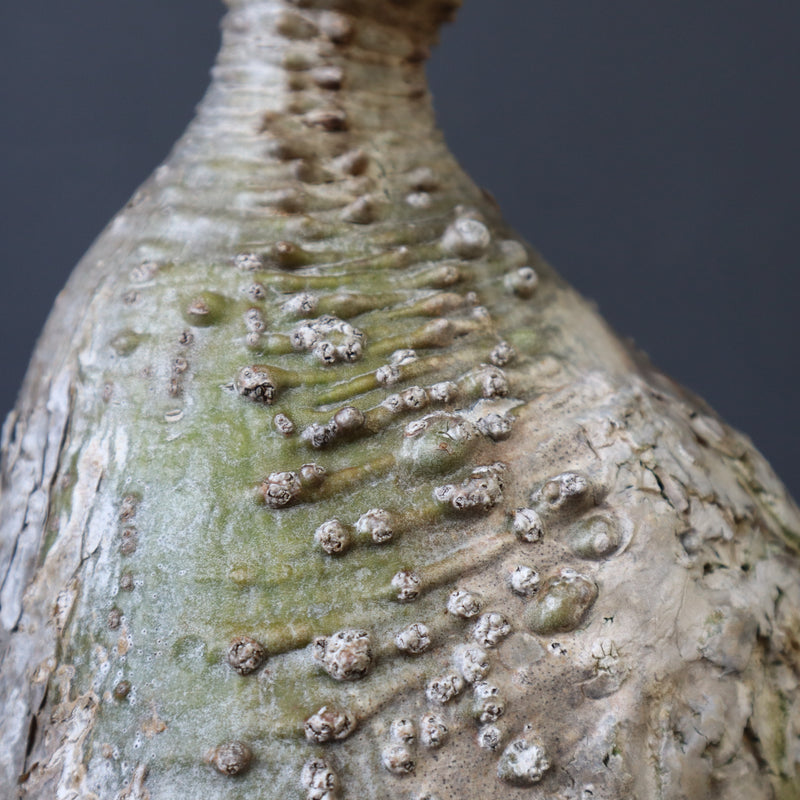 P.ウィンゾリー 60