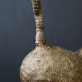 P.ウィンゾリー 55