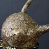 P.ウィンゾリー 55