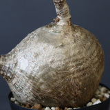 P.ウィンゾリー 55