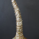 P.ウィンゾリー 59