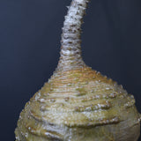 P.ウィンゾリー 59