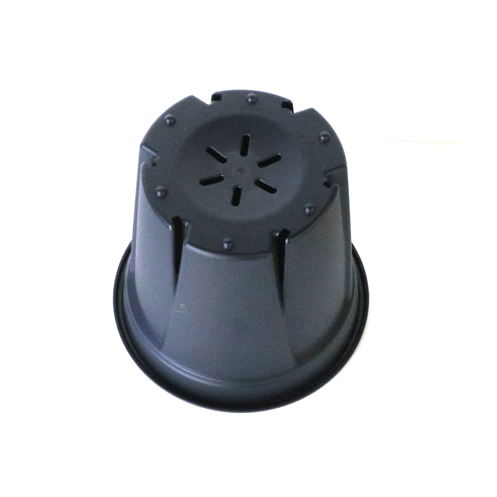 根っこつよし【3号・3.5号】 – TaiShoDo ONLINE SHOP