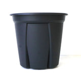 根っこつよし【4号～９号】