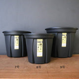 根っこつよし【4号～９号】