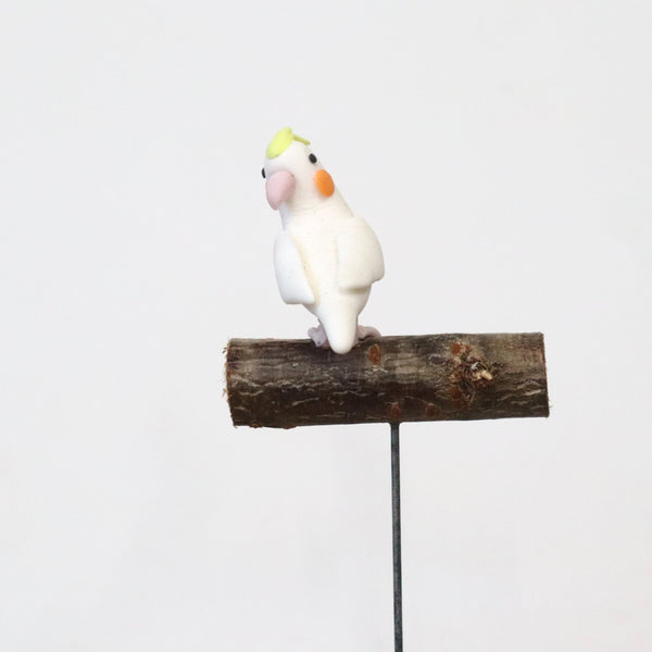 【Adonis】ガーデンピック オカメインコ