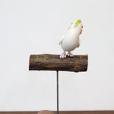 【Adonis】ガーデンピック オカメインコ