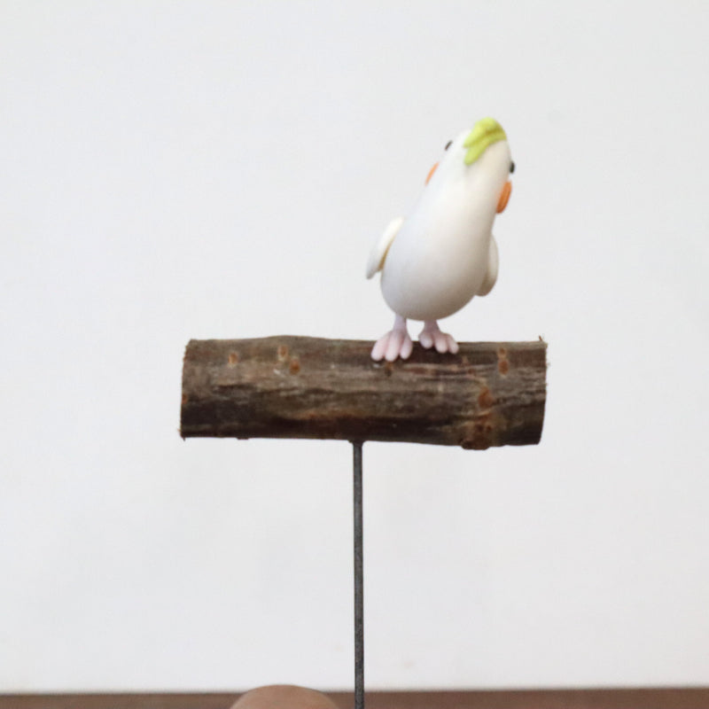 【Adonis】ガーデンピック オカメインコ