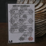 エンセファラルトス ホリダス 65