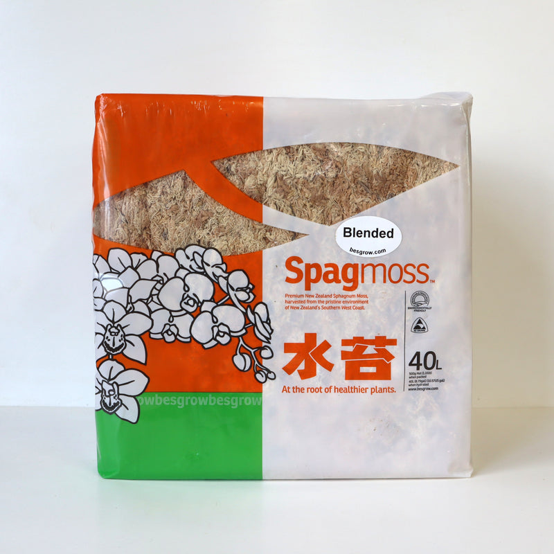 水苔 Spag moss