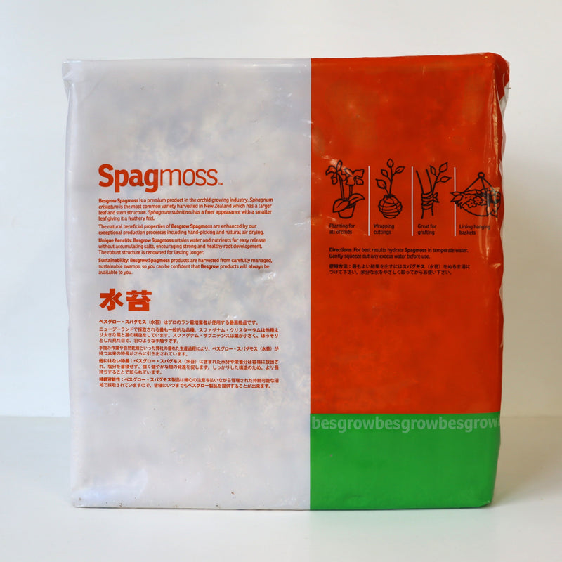 水苔 Spag moss
