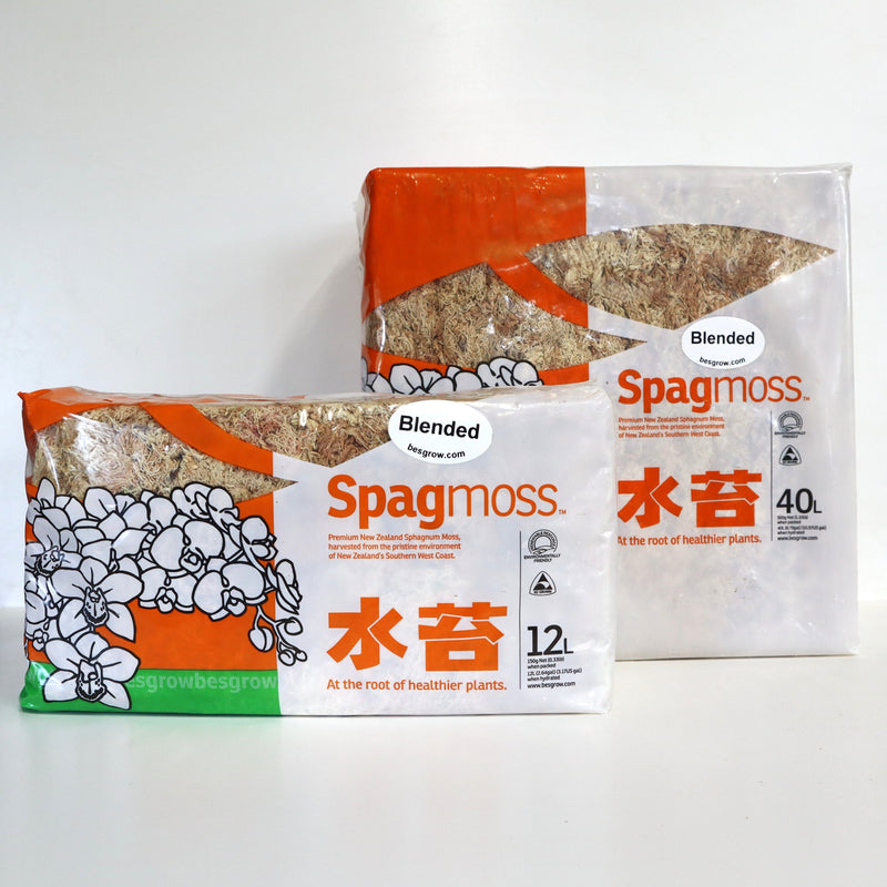 水苔 Spag moss