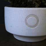 【QUTOTEN.】オオハマボウ　EC1684