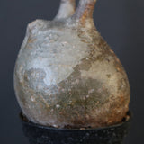 P.グラキリス 1628