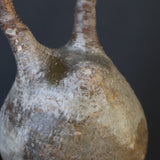 P.グラキリス 1628